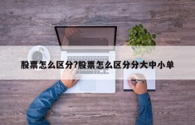 股票怎么区分?股票怎么区分分大中小单